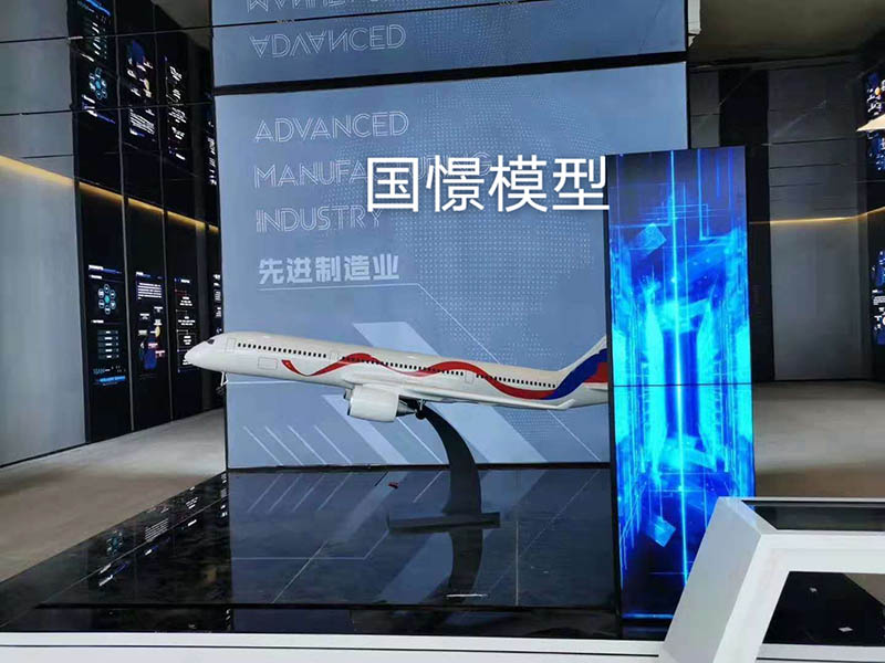 诏安县飞机模型